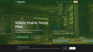 Thumbnail of tenzaro.com