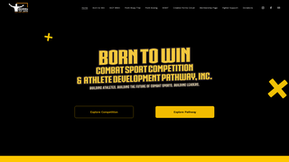 Thumbnail of borntowincombatsports.org