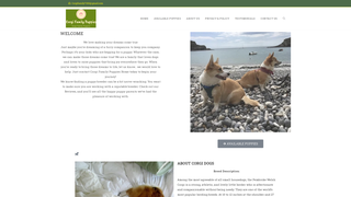 Thumbnail of corgifamilypups.com