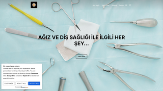 Thumbnail of aslaninovasyon.com