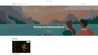 website thumbnail