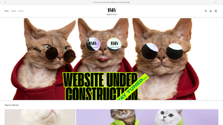 Thumbnail of bbsimpletons.com
