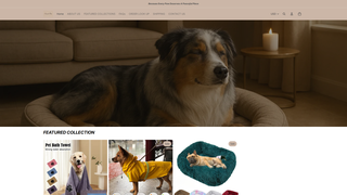 Thumbnail of casadipaw.com