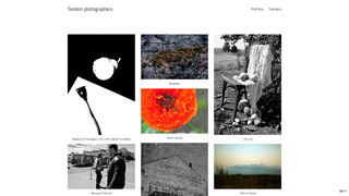 Thumbnail of tandemphotographers.com