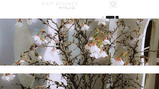 Thumbnail of cocohonest.com