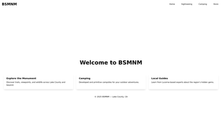 Thumbnail of bsmnm.com