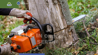 Thumbnail of jcallinonelawnservice.com