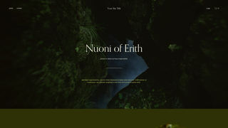 Thumbnail of nouniel.com