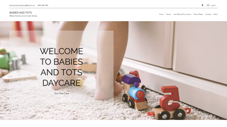 Thumbnail of babiesandtotsacademy.com