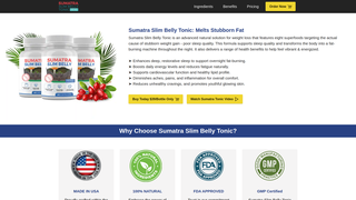 Thumbnail of sumataraslimbelly.com