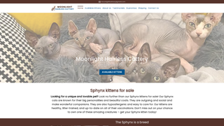 Thumbnail of moonlighthairlesscattery.com