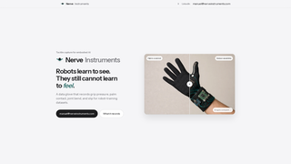 Screenshot of nerveinstruments.com