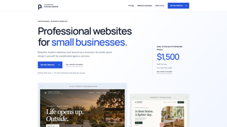 Screenshot of professionalbusinesswebsites.com