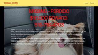 Thumbnail of missingcosmo.org