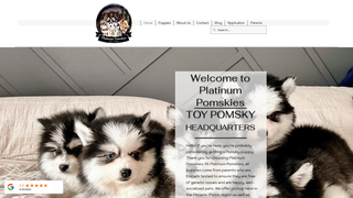 Thumbnail of toypomskies.com