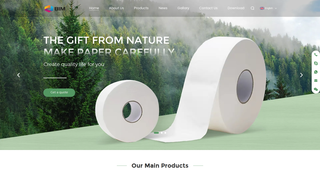 Thumbnail of baoli-paper.com