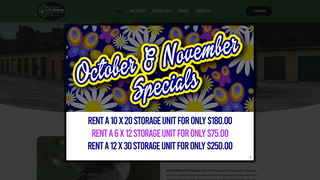 Thumbnail of northtexasministoragellc.com