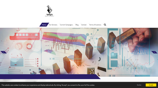 Thumbnail of ninjagrowthpartner.com