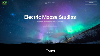 Screenshot of electricmoosestudios.com