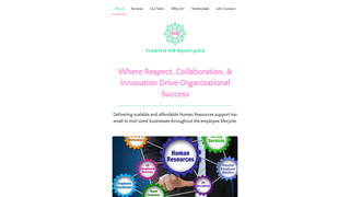 Thumbnail of trustedhrsynergies.org