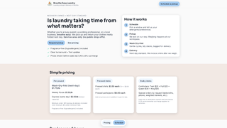 Thumbnail of breatheeasylaundry.com