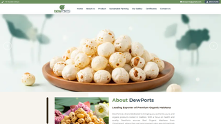 Thumbnail of dewports.com