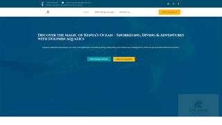 Thumbnail of dolphinaquaticske.com