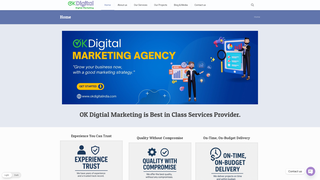 Thumbnail of okdigitalindia.com