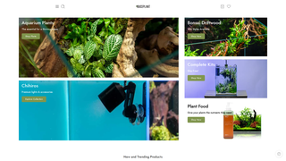 Thumbnail of buceplantonline.com