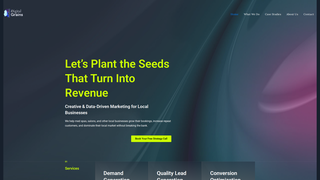 Thumbnail of digitalgrains.com