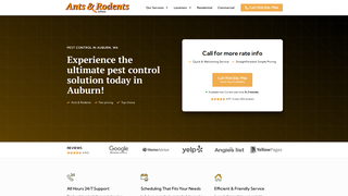 Thumbnail of antsrodentsauburn.com