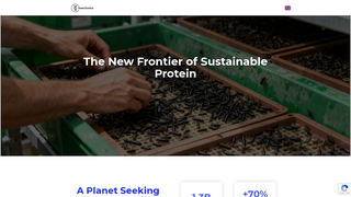 Thumbnail of insectionics.com