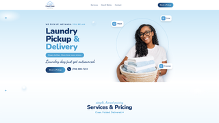 Screenshot of cloudcleanclt.com