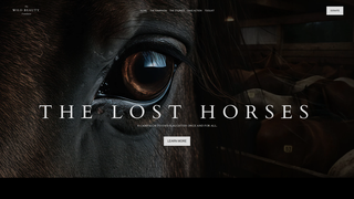 Thumbnail of losthorses.org