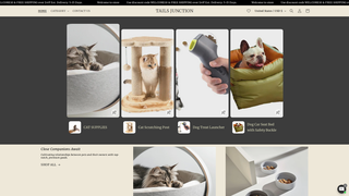 Thumbnail of tailsjunction.com