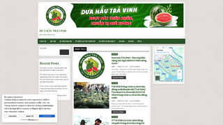 Thumbnail of duahautravinh.com