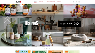 Thumbnail of blaine5.com