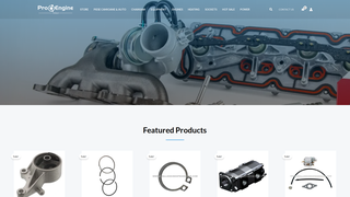 Thumbnail of proenginetools.com
