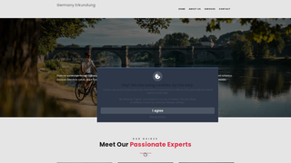 Thumbnail of finnynsx.com