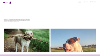 Thumbnail of scenicdogtraining.com