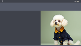 Thumbnail of jarrelldoggrooming.com