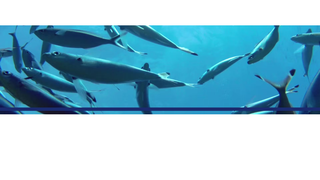 Thumbnail of vintacoldstorage.com
