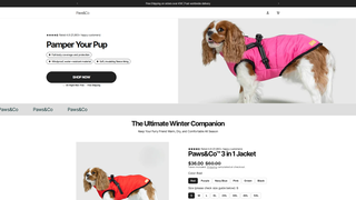 Thumbnail of pawsandcos.com