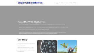 Thumbnail of brightwildblueberry.com