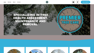 Thumbnail of premiertreecarellc.com