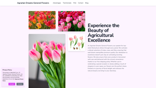 Thumbnail of getgeneralproducts.com