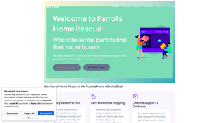 Thumbnail of parrotshomerescue.com