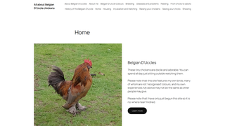 Thumbnail of belgianduccle.com