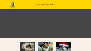 Thumbnail of allaboutpetssupplies.com