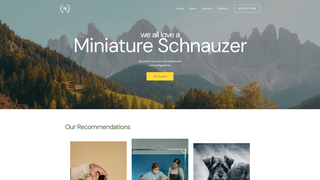Thumbnail of minischnauzerhub.com
